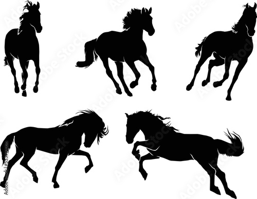 Set of stallion silhouette illustration on white background