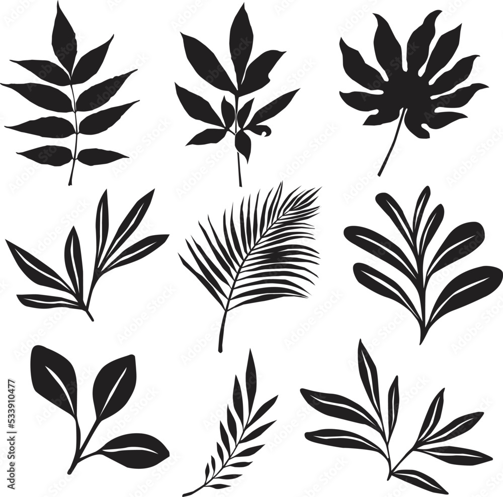 Set of black and white leaves. Vector illustration of silhouettes with tropical leaves on a white background. Summer concept Set of black and white leaves. Vector illustration of silhouettes with tropical leaves on a white background. Summer concept