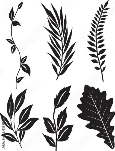 Set of black and white leaves. Vector illustration of silhouettes with tropical leaves on a white background. Summer concept