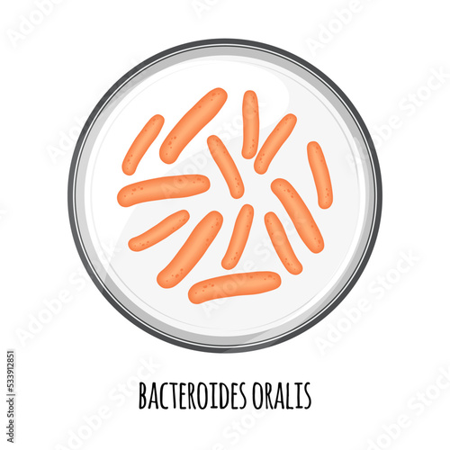 The human microbiome of bacteroides oralis in a petri dish. Vector image. Bifidobacteria, lactobacilli. Lactic acid bacteria. Illustration in a flat style. photo