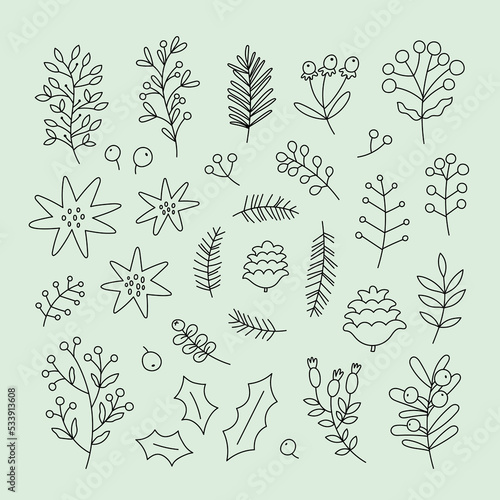 Set of christmas botanical doodles. Vector collection of twigs, leaves, berries, pine cones, flowers.
