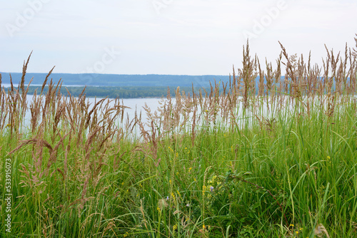 slope of hill covered with green grass with river and island on background