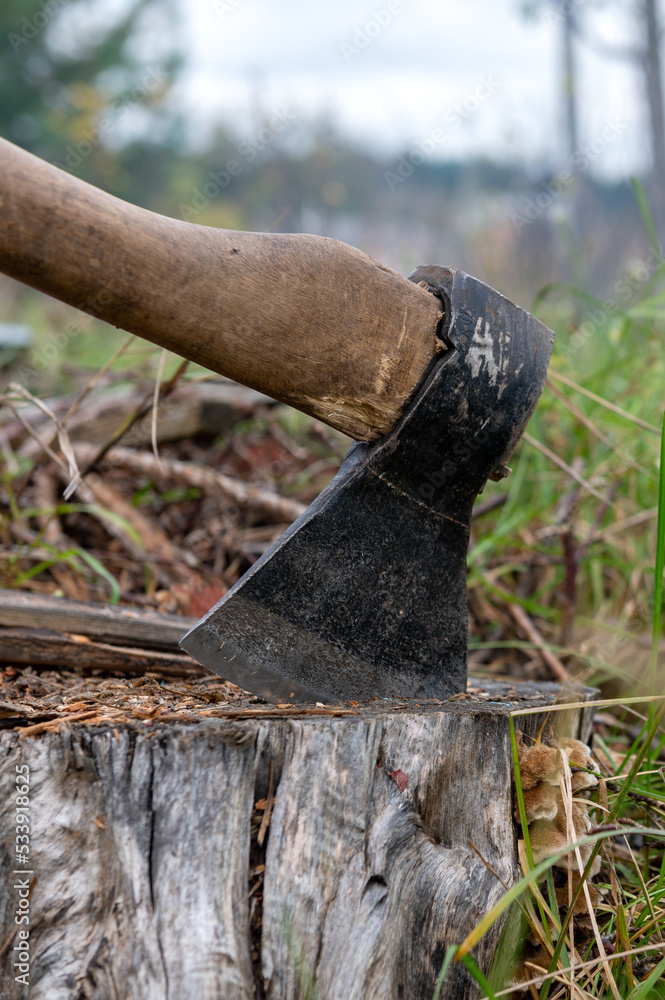 Splitting maul axe embedded in tree stump. Ax embedded in a stump. Splitting maul axe embedded in tree stump. Ax embedded in a stump.
