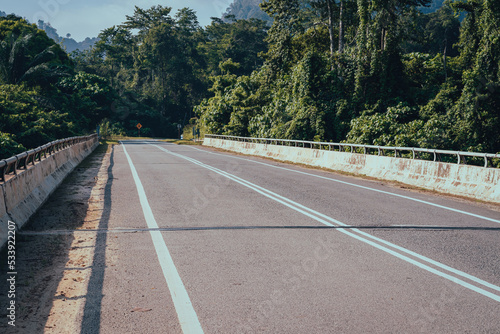 Empty road bridge near the rainforest jungle during morning sunrise.