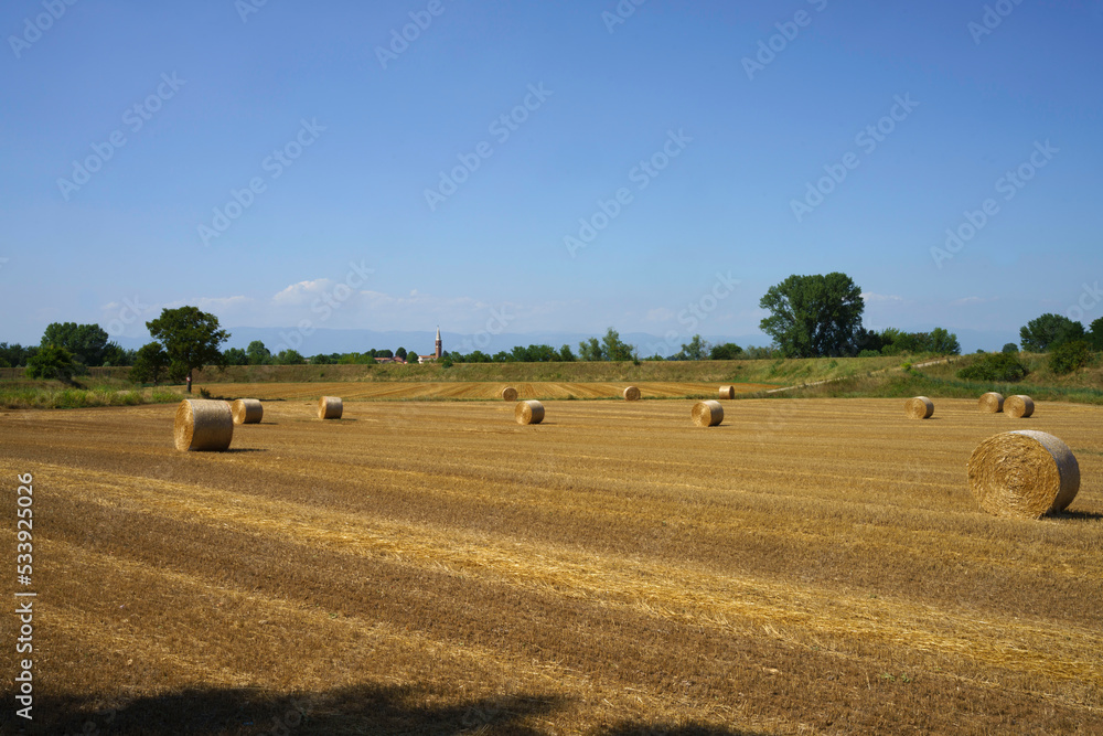 Country landscape near Longare, Vicenza, Italy