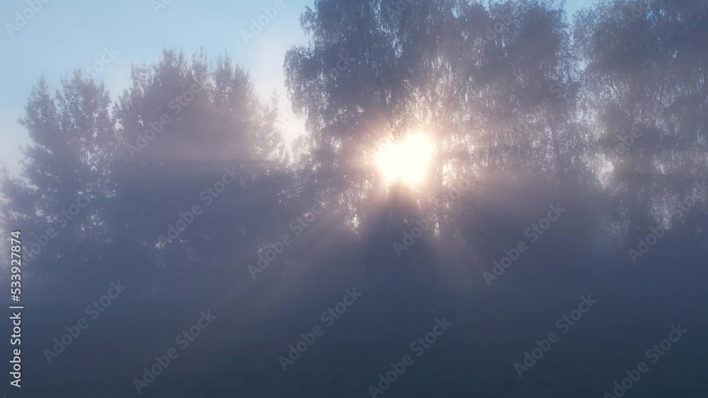 Amazing Nature Landscape Wonderful Morning Sunrise. Sun Rays Break Through Foliage and Fog of Magnificent Tree. Morning Sun Rays Penetrating Forest. Forest With Morning Mist and Light Rays. Amazing Nature Landscape Wonderful Morning Sunrise. Sun Rays Break Through Foliage and Fog of Magnificent Tree. Morning Sun Rays Penetrating Forest. Forest With Morning Mist and Light Rays.