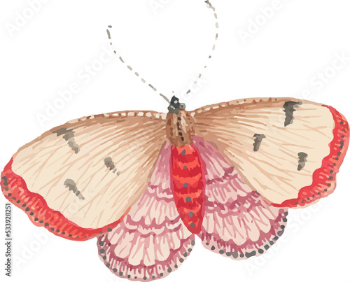 Canvas Print watercolor butterfly