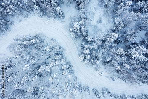 Winter forest with road top view. Snowy landscape, trees in the snow, frosty weather.
