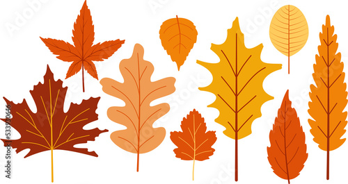 Autumn leaf cutout.