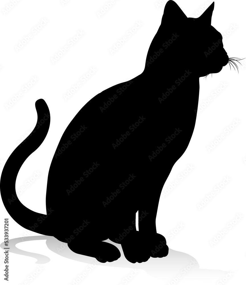 Silhouette Cat Pet Animal