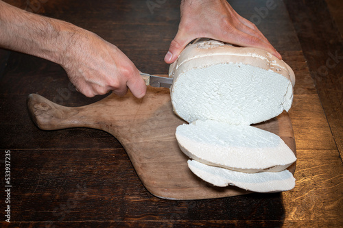 Slicing giant puffball mushroom in the kitchen, selective focus photo