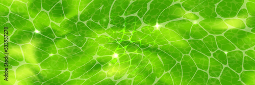 Green plant cell pattern under a microscope or abstract background. Leaf tissue layer vector macro illustration. Microbiology wallpaper. Scientific structure.