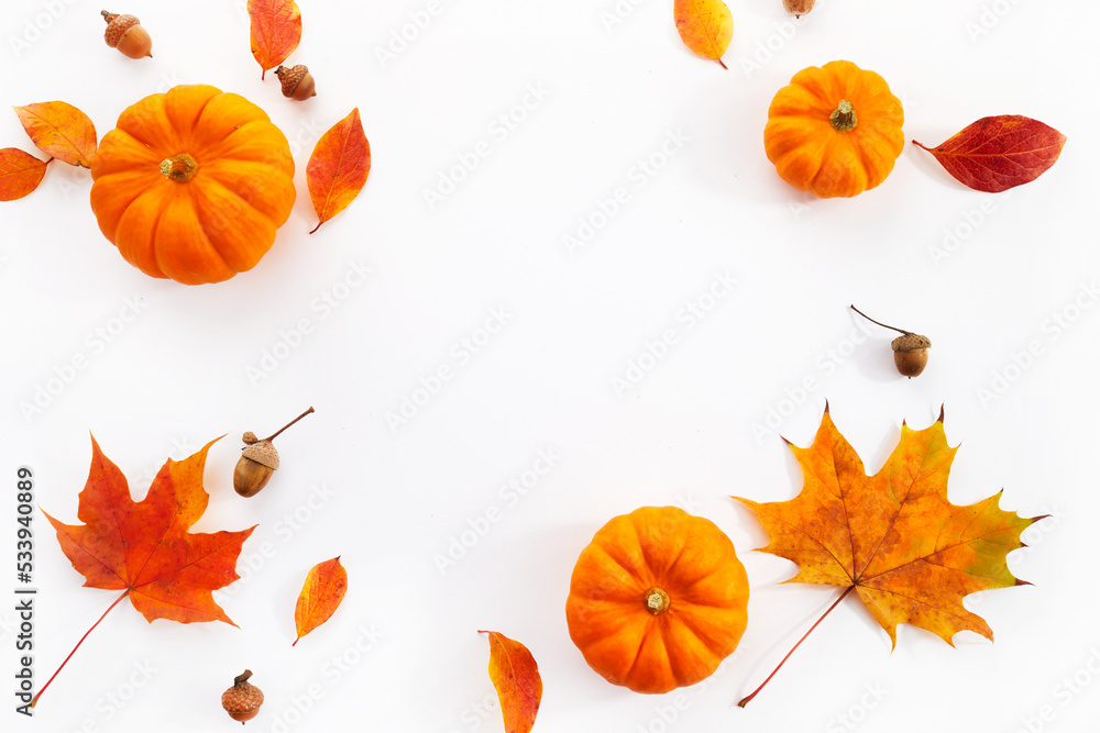 Pumpkins with fall leaves over white background. Top view. Pumpkins with fall leaves over white background. Top view.