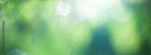 Obraz na plátně wide green nature bokeh background,Green blur background abstract colorful leave