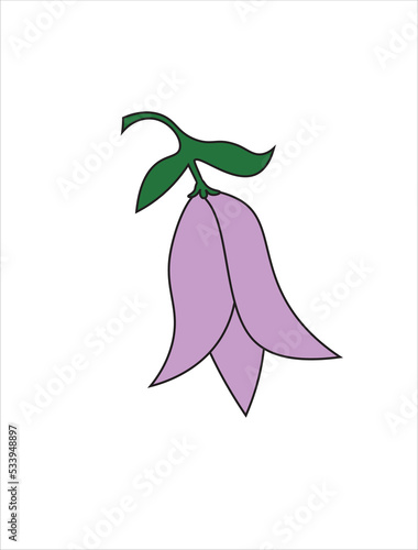 lapageria, Chilean bellflower or copihue doodle icon, vector illustration photo