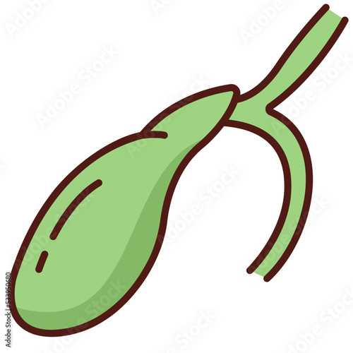 gallbladder icon