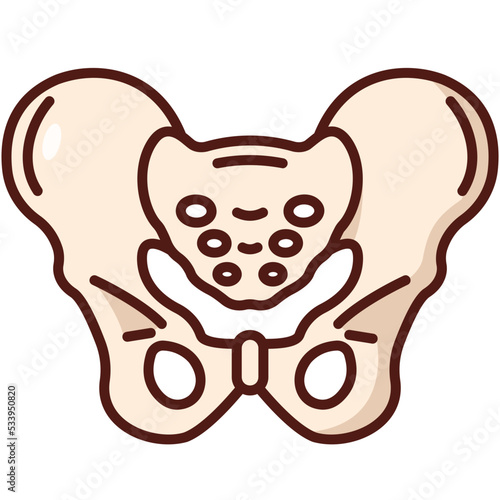 pelvis icon