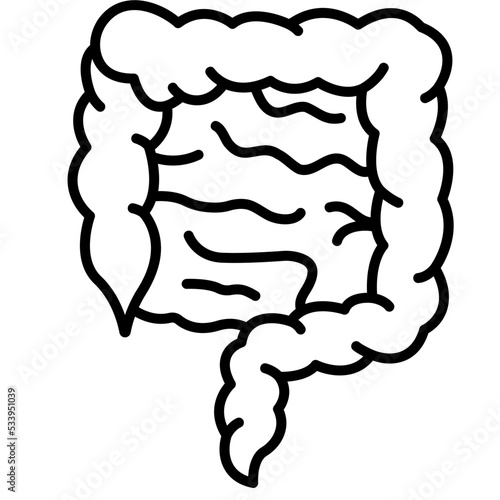 intestines icon