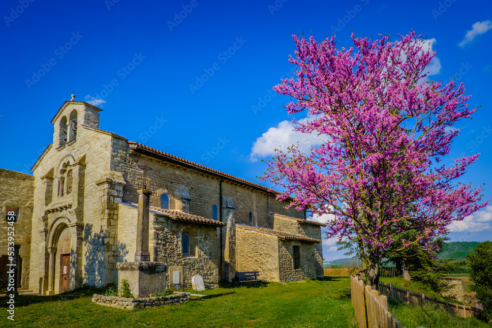 View on the romanesque facade of the Saint Agnes church in Saint Jean de Galaure (Ardeche, France) with a blossoming tree with pink flowers