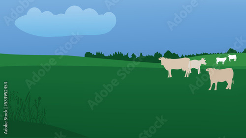 Landscape with a green field, grasses and cows
