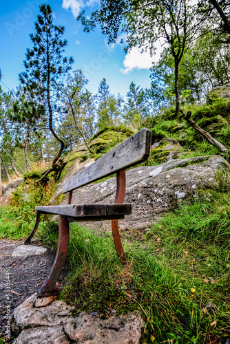 Close-up bench in the middle of Norwegian nature