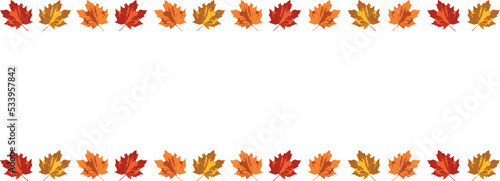 Autumn colored leaves. Vector autumnal banner.	