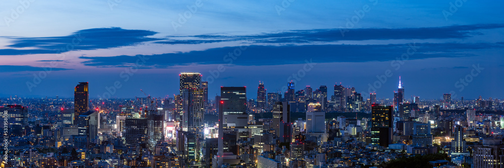 Magic hour cityscape of Tokyo Shinjuku and Shibuya area panoramic view.