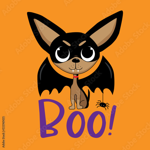 Boo - cute vampire chihuahua dog with little spider. Isloated on orange color background. Good fot T shirt print, poster, invitation card, label and other decoartion for Halloween.