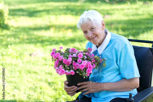 happy old senior woman sitting in a wheelchair and holding a purple flower pot in green garden © Zelma