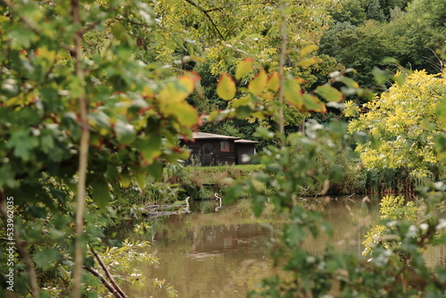 cabane en bois dans un bois