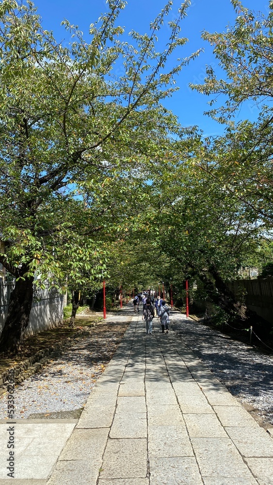 Street walk towards the temples of Japan, in Chiba prefecture, year 2022 Street walk towards the temples of Japan, in Chiba prefecture, year 2022