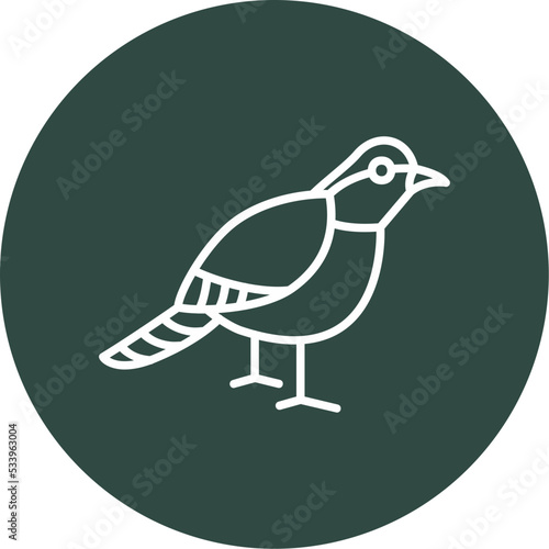 Robin Icon