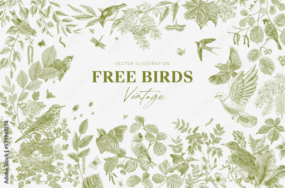 Free Birds. Card. Vector vintage illustration. Green - obrazy, fototapety, plakaty 
