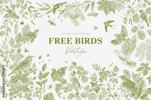 Free Birds. Card. Vector vintage illustration. Green
