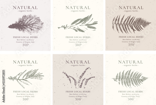 Elegant Label collection for Natural organic herbal products. Vintage packaging design set for Cosmetics, Pharmacy, healthy food