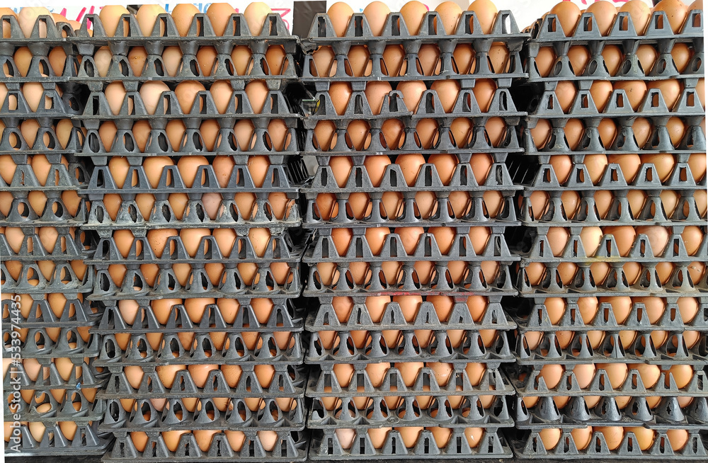 Egg panels arranged on sale market, Occupation of farmers in Thailand