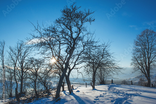 winter landscape with mountains on horizon. fir trees covered with snow. beautiful winter landscape. Carpathian mountains. Ukraine © ver0nicka