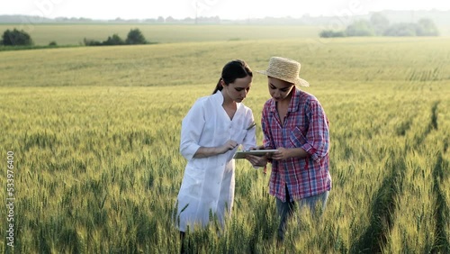 A farmer and a laboratory technician shaking hands in a wheat field. Agriculture. Agribusiness. Successful deal. A farmer and a laboratory technician in a wheat field enter into a contract.