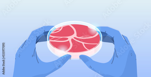 scientist hands holding cultured red raw meat made from animal cells artificial lab grown meat production concept