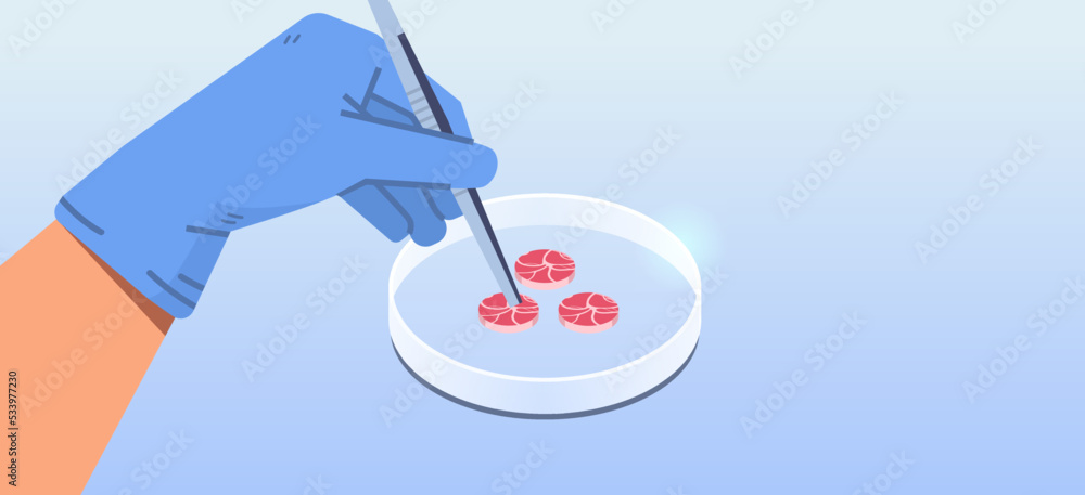 scientist hands holding cultured red raw meat made from animal cells artificial lab grown meat production concept scientist hands holding cultured red raw meat made from animal cells artificial lab grown meat production concept