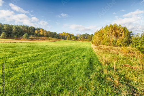 Landscape autumn field with colourful trees, autumn Poland, Europe and amazing blue sky with clouds, sunny day 