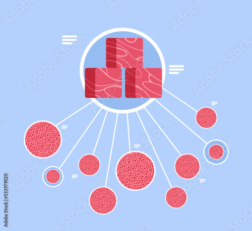 cultured red raw meat made from animal cells artificial lab grown meat production concept vector illustration