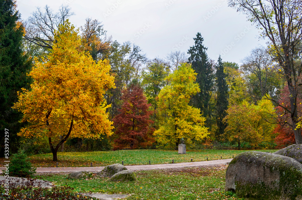 Colorful trees in the autumn park