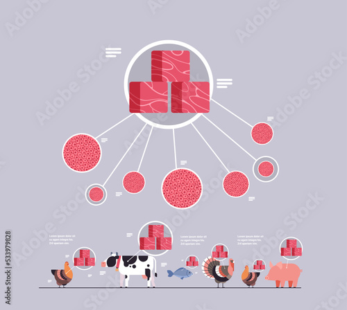 cultured red raw meat made from animal cells artificial lab grown meat production concept