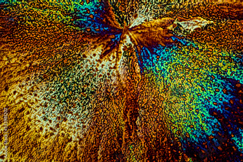 Chemical substance Brucine made by a microscope in polarized light photo