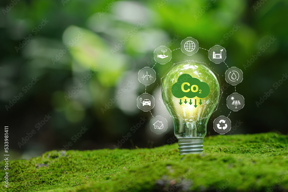 light bulb against nature with icons energy sources for renewable Sustainable development and business based on renewable energy. Reduce CO2 emission concept. green business based on renewable energy. - obrazy, fototapety, plakaty 