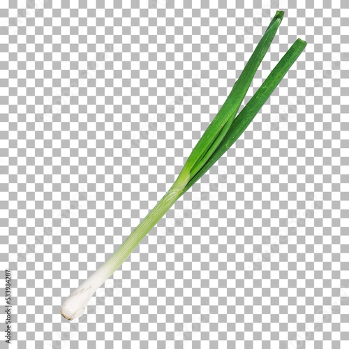 green onion isolated on transparent background.