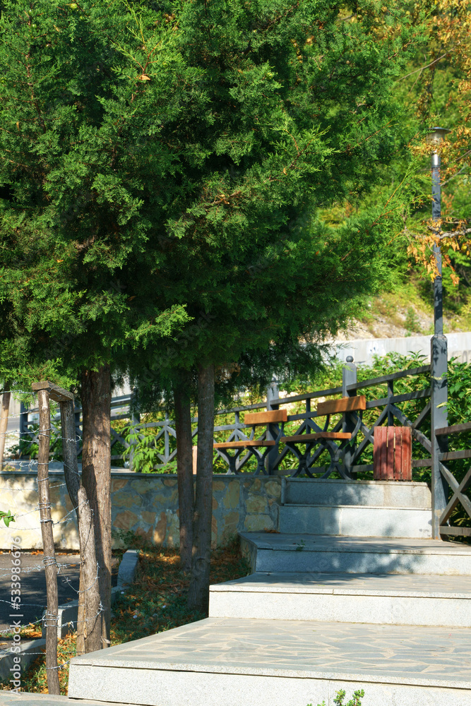 A tiled staircase in the park leads to wooden park benches past evergreen trees growing nearby. A tiled staircase in the park leads to wooden park benches past evergreen trees growing nearby.