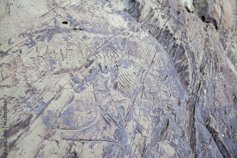 Naklejka premium Old rock carvings of an ancient man on rocks in Siberia. The drawings depict animals and people