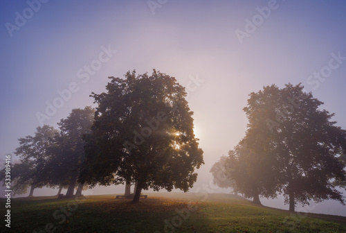 Mystic fog in the park, autumn landscape with fog and light rays photo